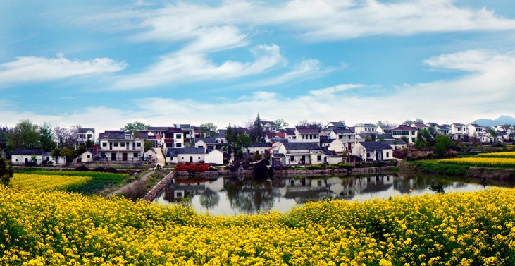 關于縣域經(jīng)濟的特點探析