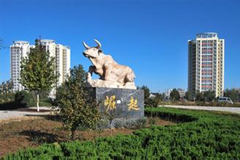 邢臺經濟結構轉型升級研究