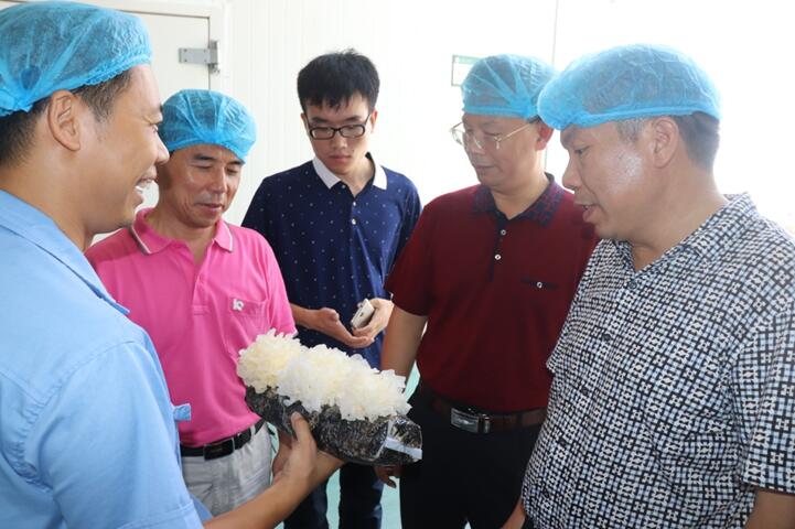 “湘軍故里，鋼鐵新城”我院助力婁底市開啟創(chuàng)新發(fā)展新篇章