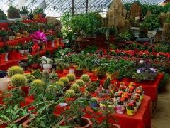 國務(wù)院關(guān)于同意在石家莊等24個城市設(shè)立  跨境電子商務(wù)綜合試驗區(qū)的批復(fù)