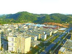 中山：加快建設(shè)東升脆肉鯇、橫欄花木省級現(xiàn)代農(nóng)業(yè)產(chǎn)業(yè)園