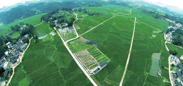 大健康事業是國家趨勢，現今走在前面的人，將是未來的主角！