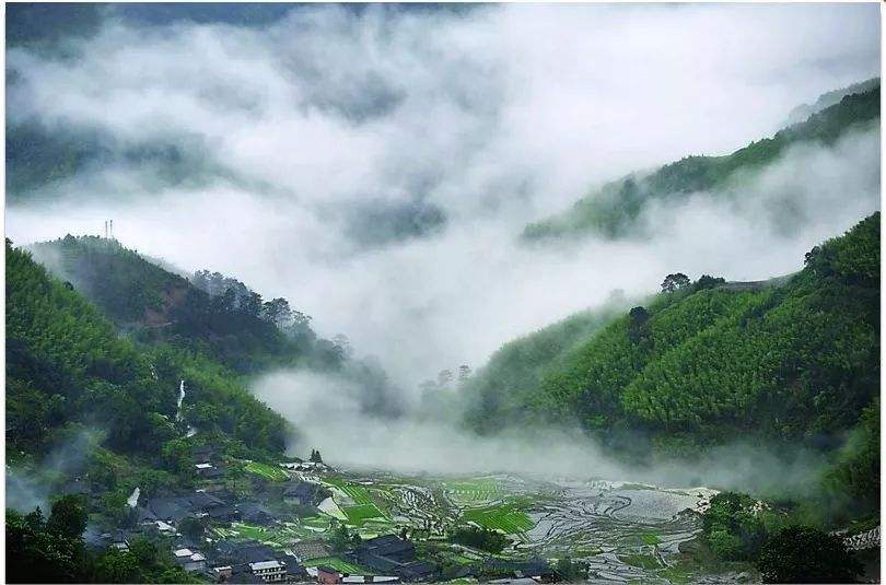 四、農(nóng)村一二三產(chǎn)業(yè)融合發(fā)展先導(dǎo)區(qū)項(xiàng)目