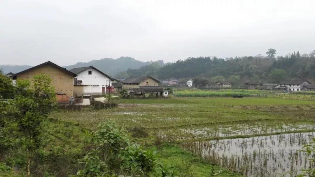 農(nóng)村土地確權(quán)結(jié)束，沒(méi)登記的四荒地如何處理？
