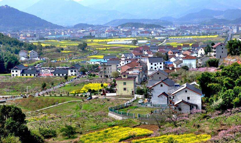 陳文勝：鄉(xiāng)村振興的資本、土地與制度邏輯