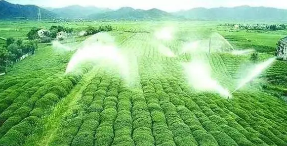重磅！2019中央一號文件即將發(fā)布！大農(nóng)業(yè)領(lǐng)域迎來新機遇