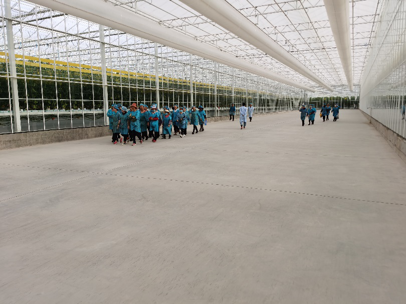 依托非耕地高效設(shè)施農(nóng)業(yè)，民樂縣著力打造特色戈壁農(nóng)業(yè)國家現(xiàn)代農(nóng)業(yè)產(chǎn)業(yè)園