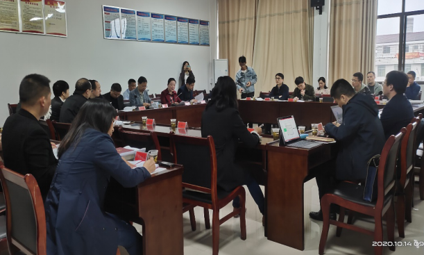 集聚頭腦風暴，為高質量編制桃江“十四五”規劃建言獻策