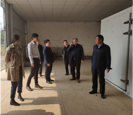 黃花菜里定乾坤，祁東縣全力爭創(chuàng)國家現(xiàn)代農(nóng)業(yè)產(chǎn)業(yè)園