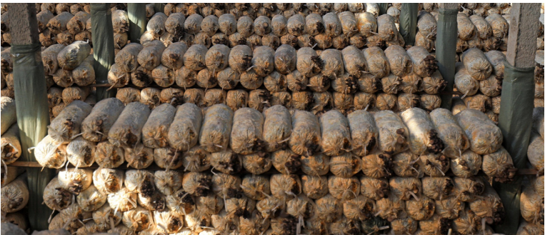 加強農(nóng)業(yè)產(chǎn)業(yè)布局規(guī)劃，民樂縣向農(nóng)業(yè)強縣進(jìn)發(fā)