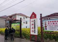 中國(guó)高新院妙筆繪藍(lán)圖 易家渡鎮(zhèn)擘畫(huà)鄉(xiāng)村振興新畫(huà)卷